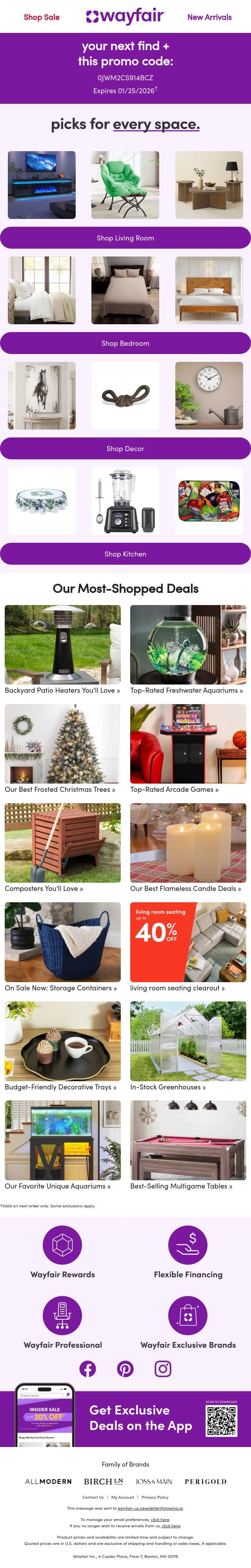 Your exclusive discount is waiting! 💫 email from Wayfair screenshot