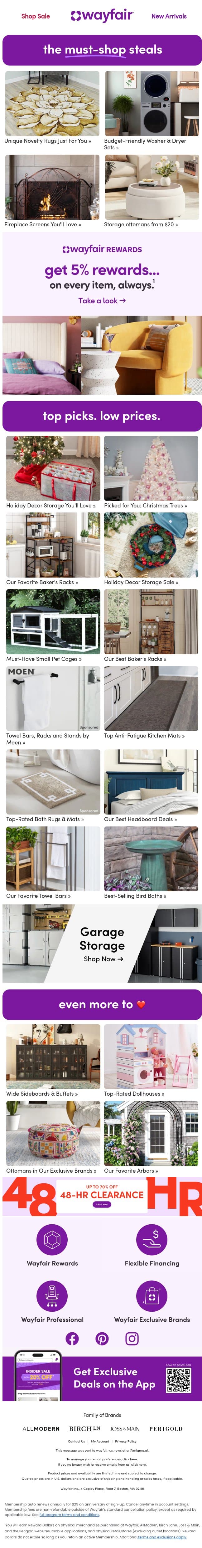 Yesss! New UNIQUE NOVELTY RUGS have arrived → email from Wayfair screenshot