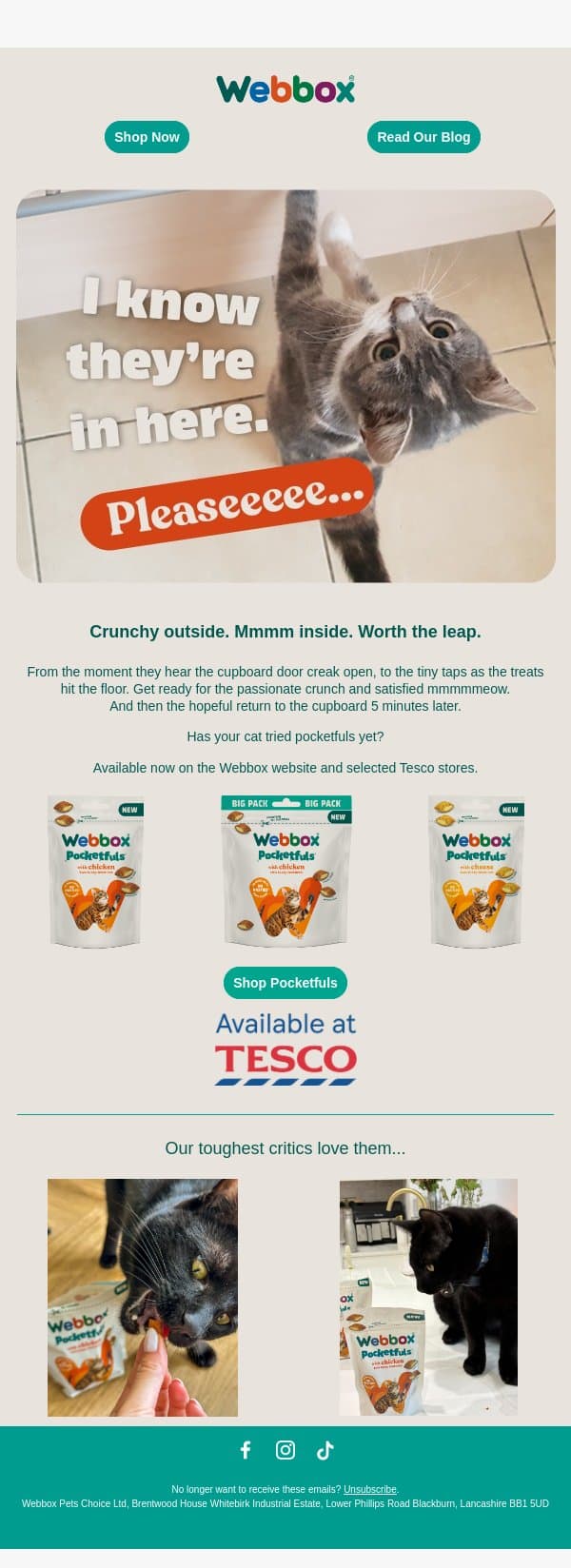 Go on. Open the bag. email from Webbox screenshot