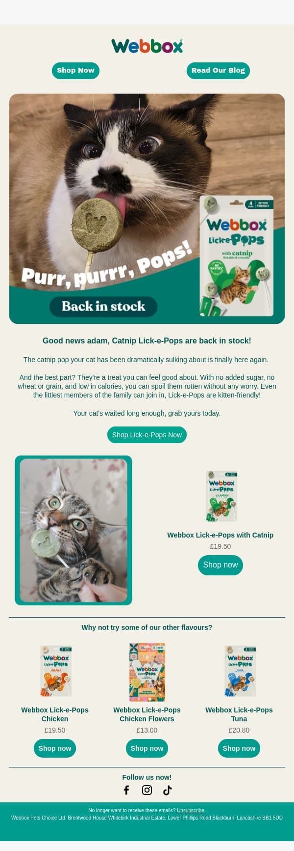 The wait is finally over! email from Webbox screenshot
