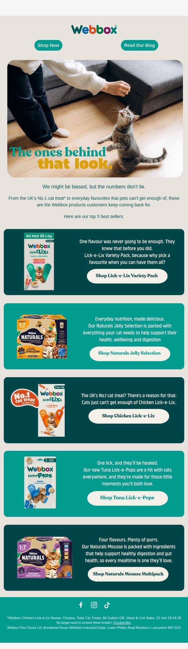 Meet our biggest crowd-pleasers... email from Webbox screenshot