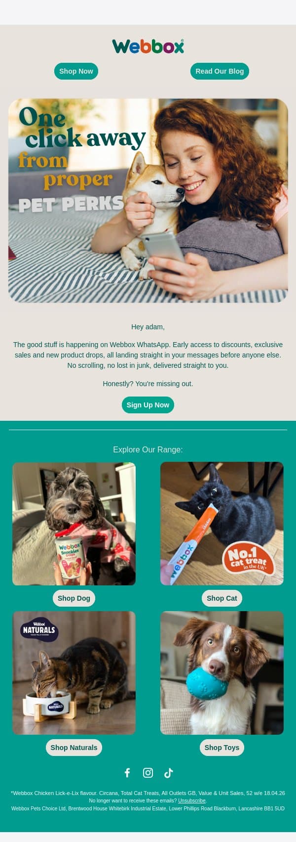 Fetch the Latest Updates on WhatsApp 🐾 email from Webbox screenshot