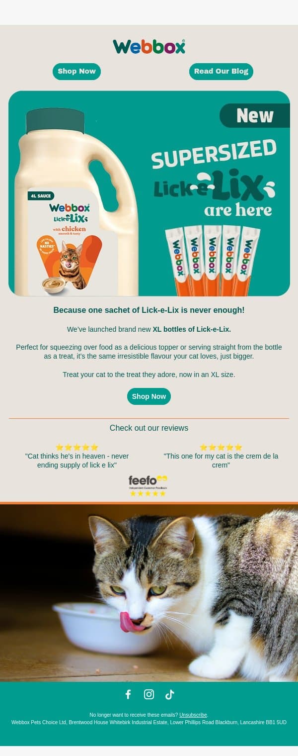 Their favourite treat, now in XL email from Webbox screenshot