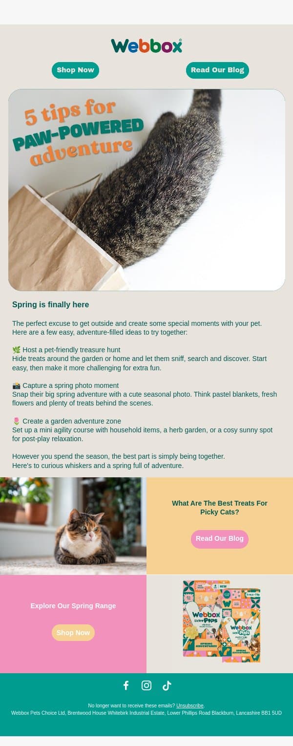 Make this Spring one to remember 🐾 email from Webbox screenshot