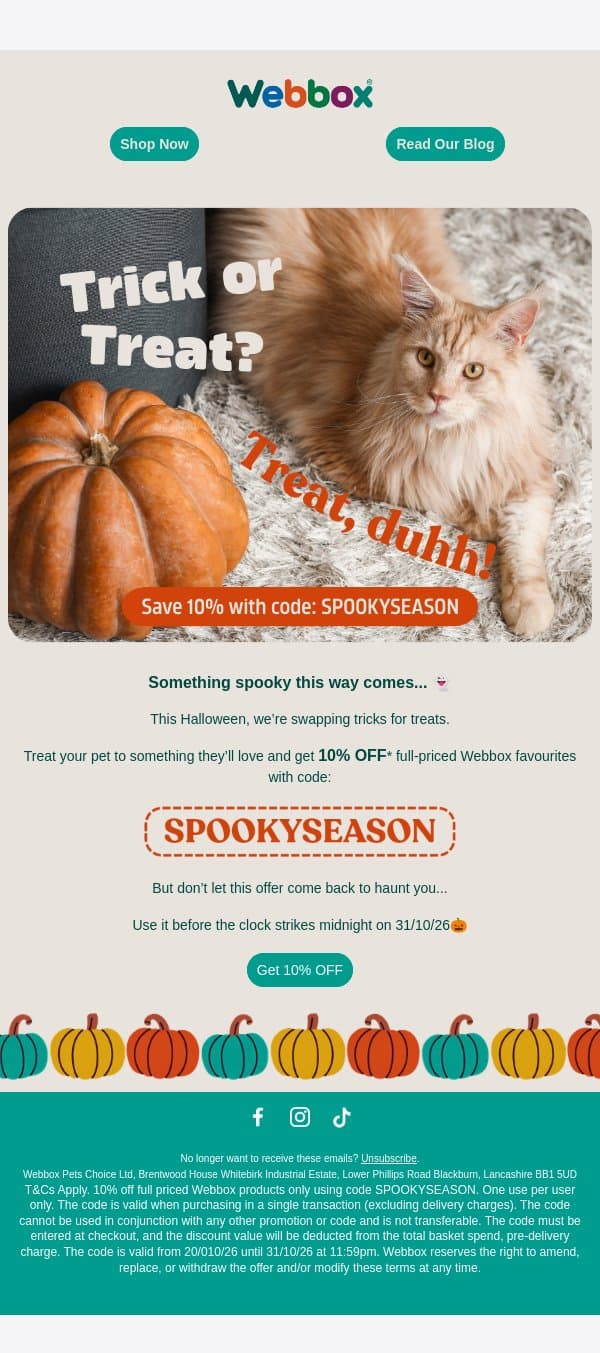 No tricks, just 10% OFF 🎃 email from Webbox screenshot