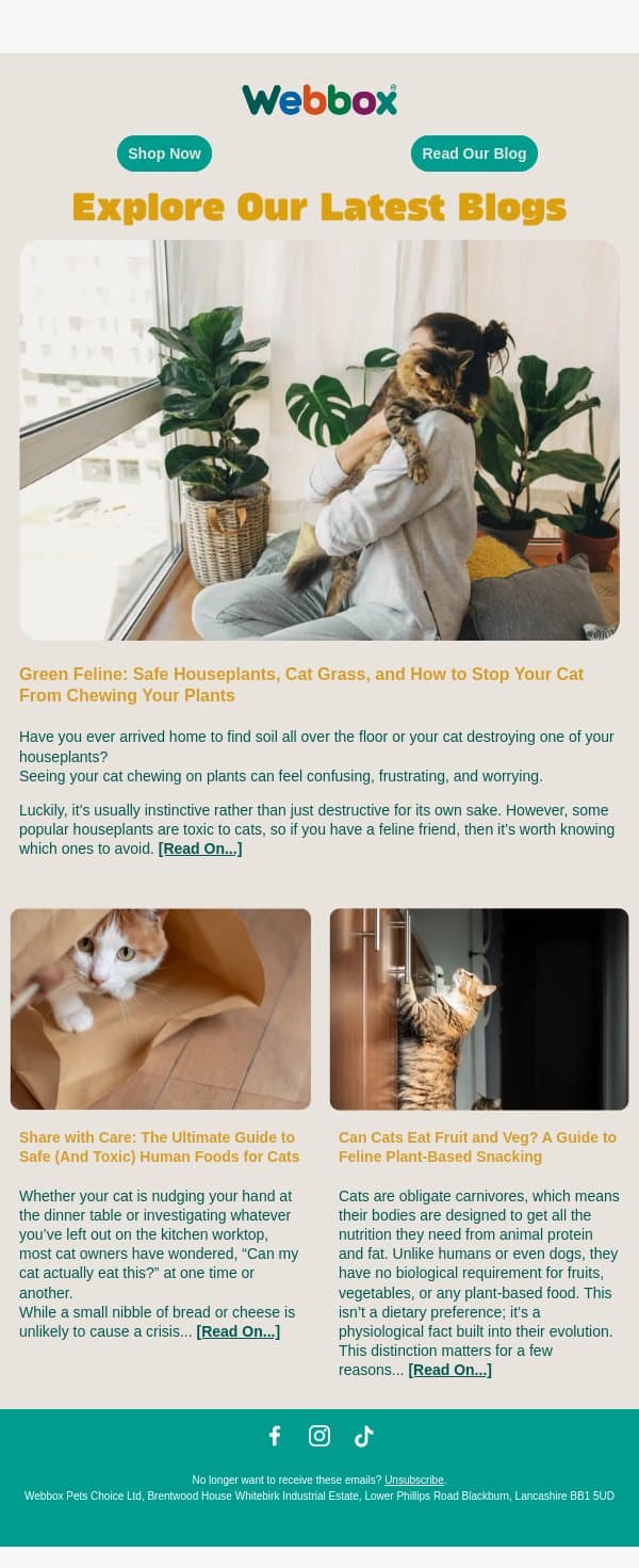 Before they give you that look… can your cat eat that? email from Webbox screenshot