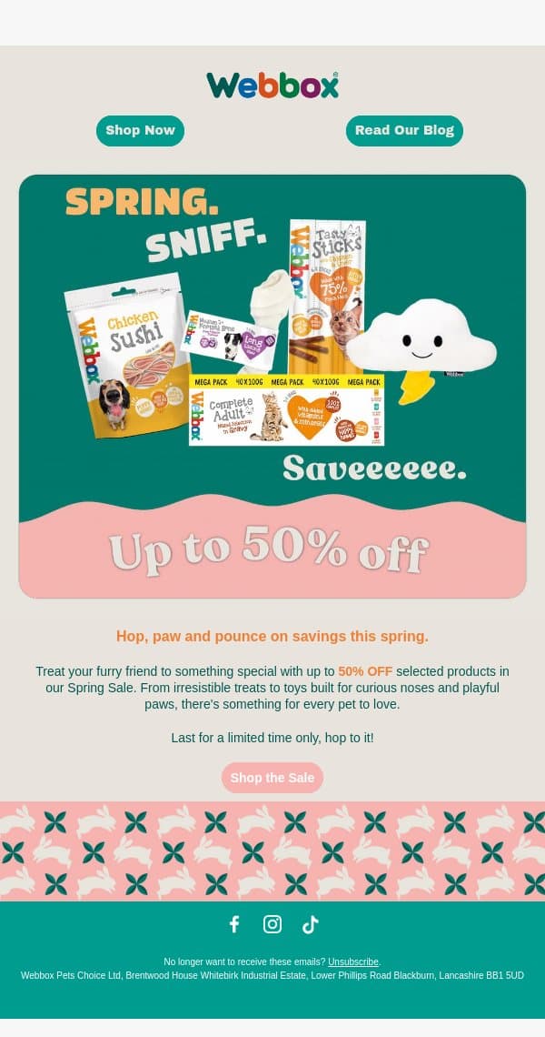 Grab Up to 50% OFF This Spring! email from Webbox screenshot