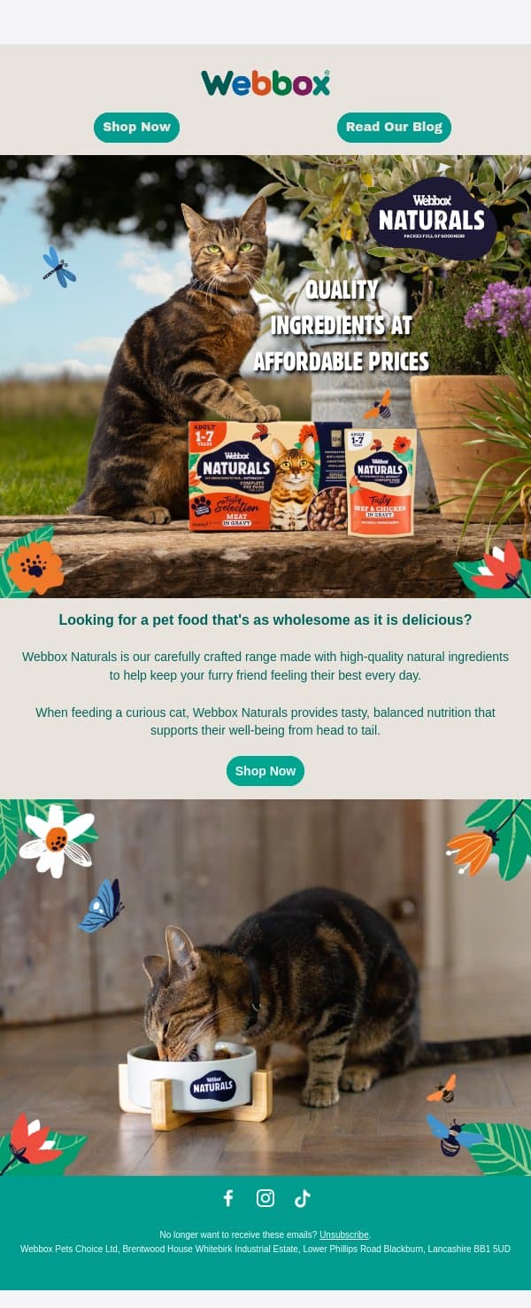 Feed Their Adventure with Webbox Naturals email from Webbox screenshot