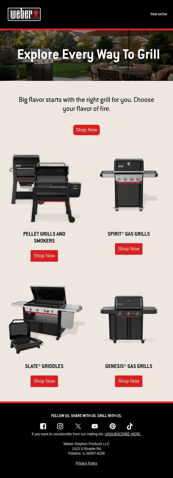 Find the Grill That Fits Your Style email from Weber screenshot