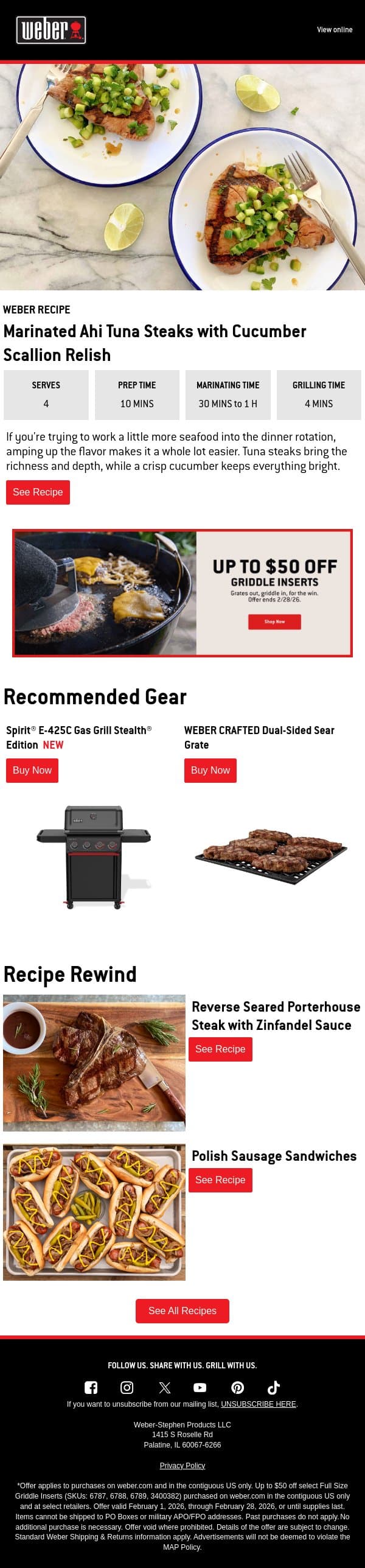 Fresh Catch Energy email from Weber screenshot
