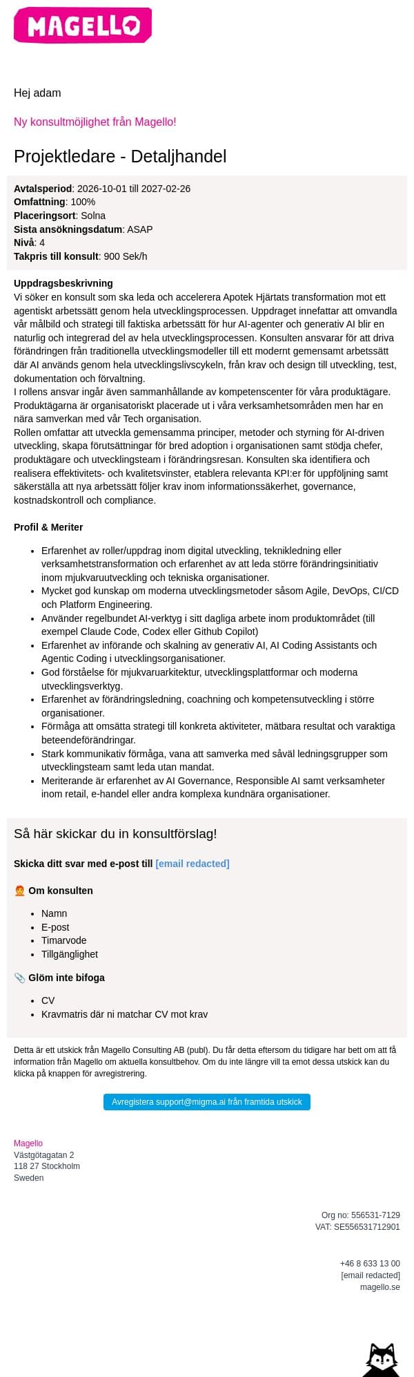 Magello söker en projektledare till kund inom detaljhandel email from Webking screenshot