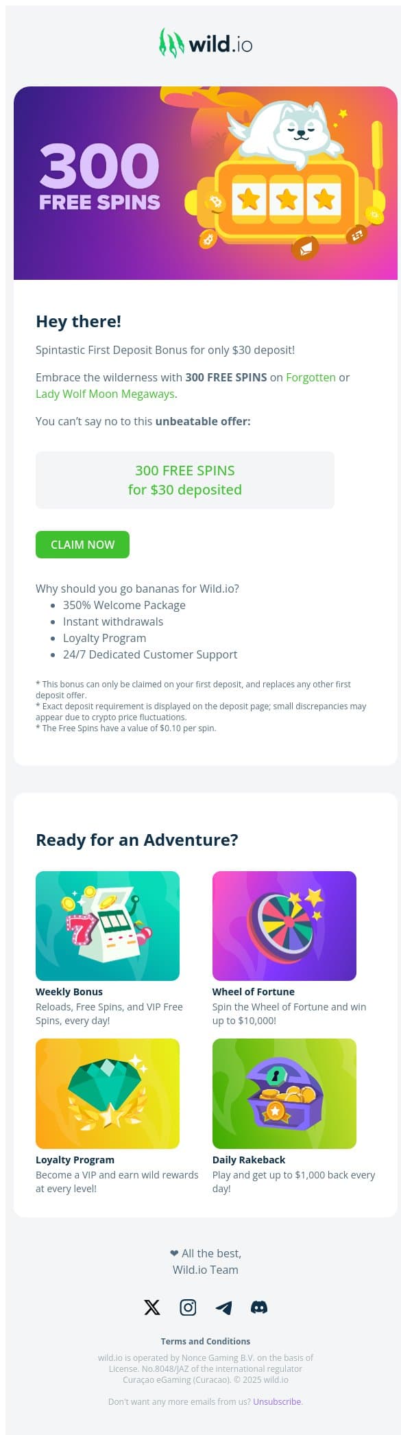 💫 Deposit $30, get 300 Free Spins! 💫 email from Wild.io screenshot