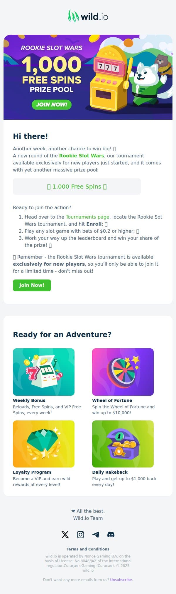 🔥 Win your share of 1,000 Free Spins! A new round of Rookie Slot Wars just started! 🏆 email from Wild.io screenshot