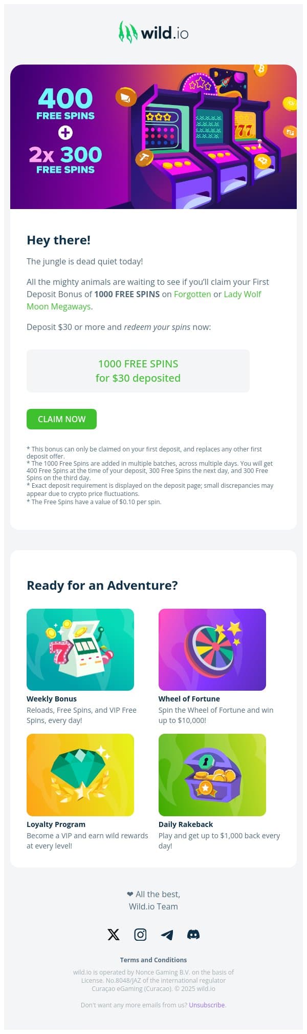🏆 Ultimate bonus alert! 1000 Free Spins 🏆 email from Wild.io screenshot