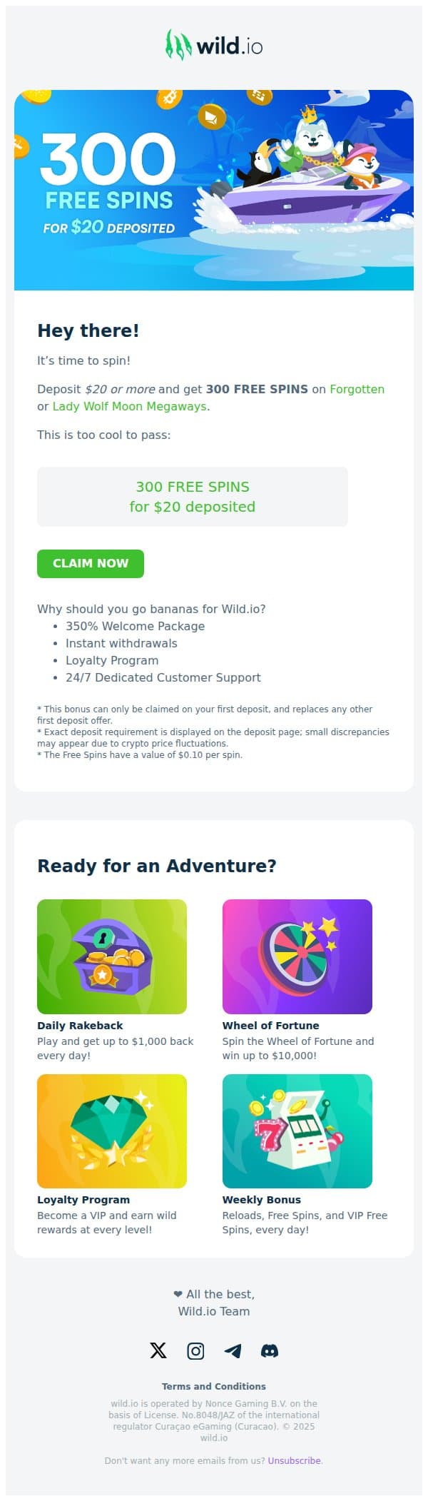 Get 300 Free Spins on your deposit Today! 🔥 email from Wild.io screenshot