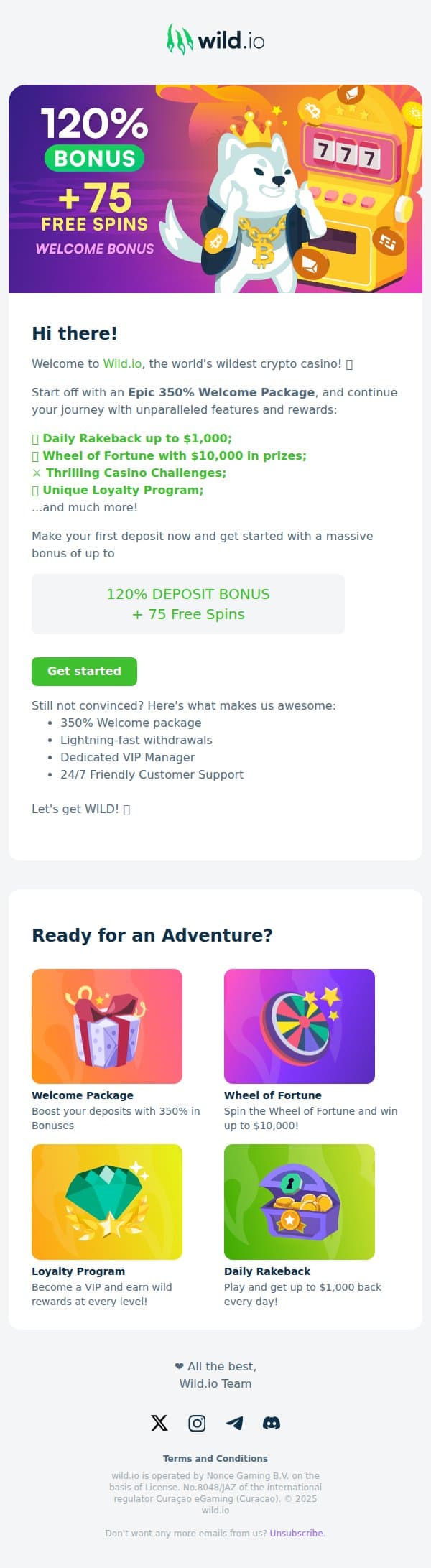Welcome to Wild.io! ⭐ email from Wild.io screenshot