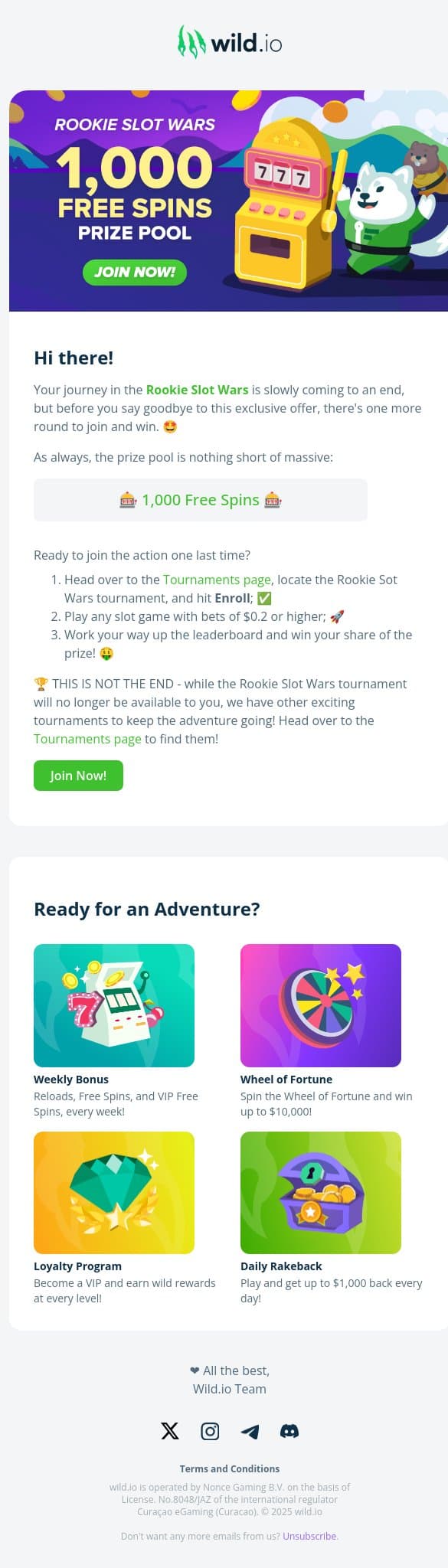 🚨 Last call for 1,000 Free Spins! The Rookie Slot Wars is On! 🏆 email from Wild.io screenshot