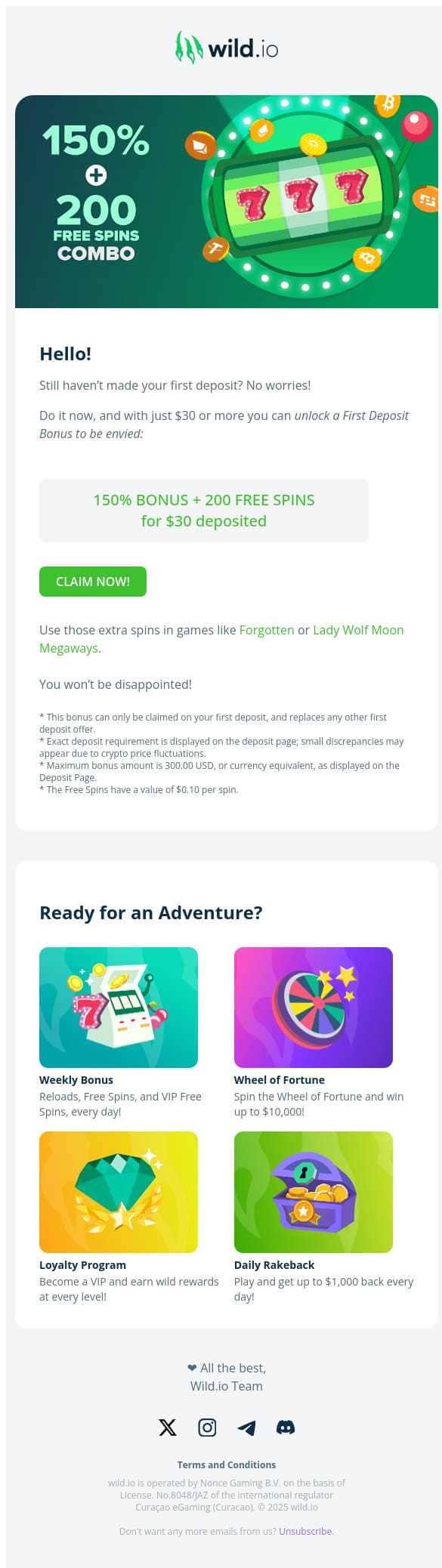 💰 Get 150% Bonus + 200 Free Spins with $30 Deposited 💰 email from Wild.io screenshot