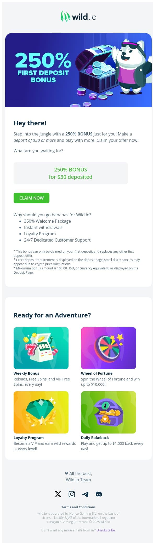 🚨 250% Bonus Alert! Claim it before it expires! email from Wild.io screenshot