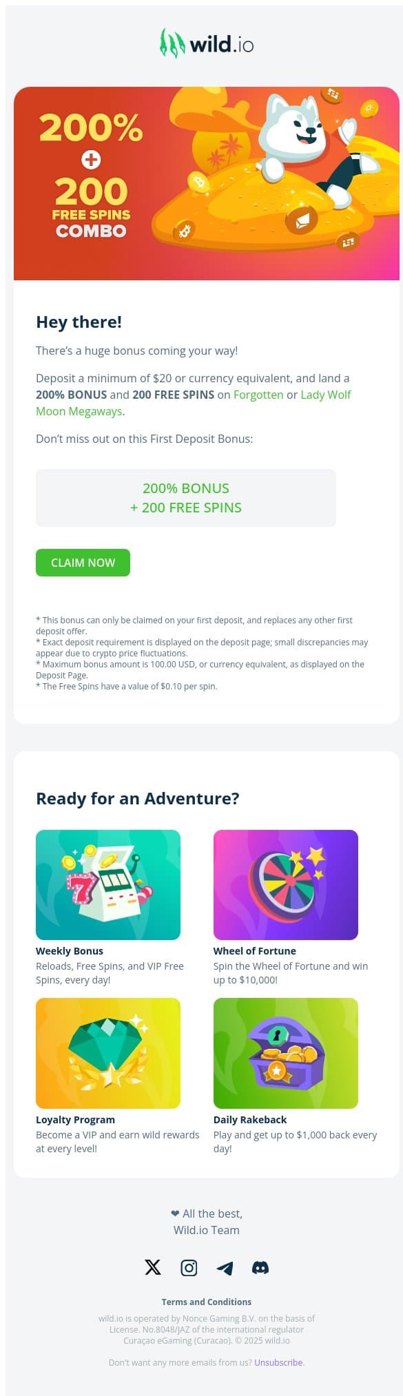 💣 Bonus Madness! 200% Bonus + 200 Free Spins 💣 email from Wild.io screenshot
