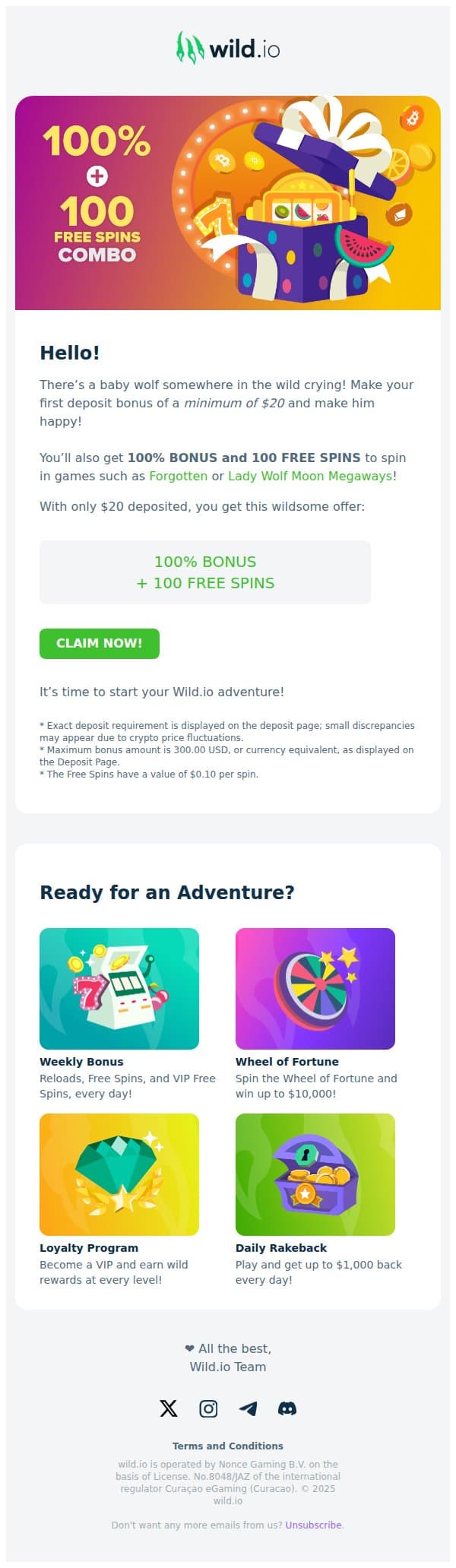 🐺 100% Bonus + 100 Free Spins 😱 email from Wild.io screenshot