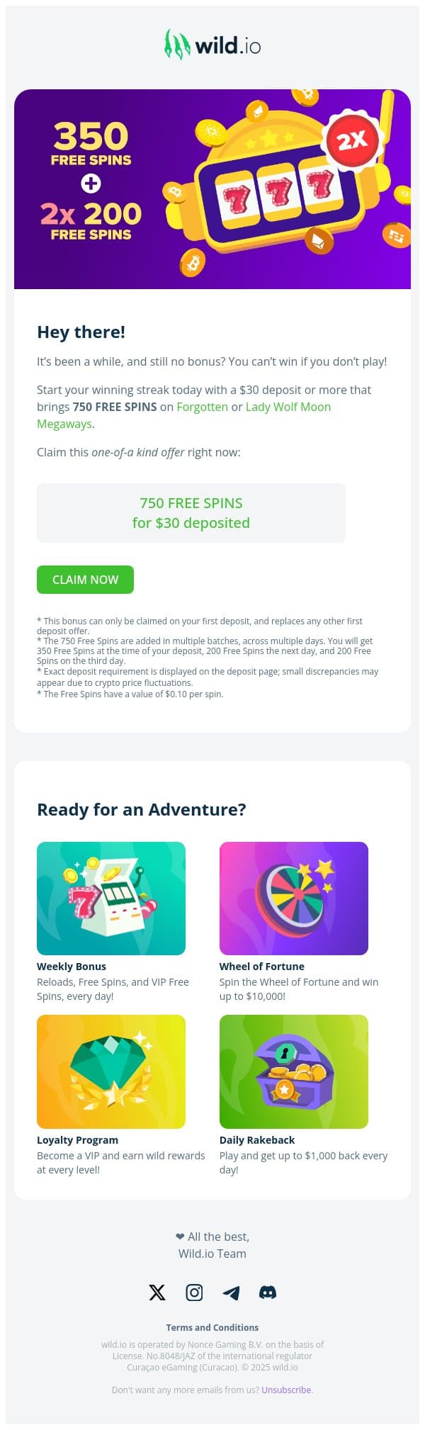 🔥 Hot Bonus! 750 Free Spins 🔥 email from Wild.io screenshot