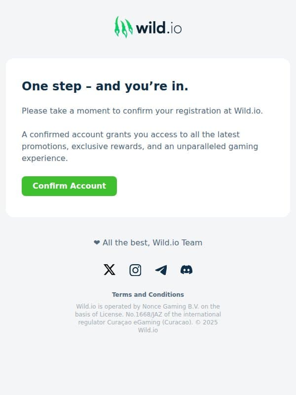 Confirm your account email from Wild.io screenshot