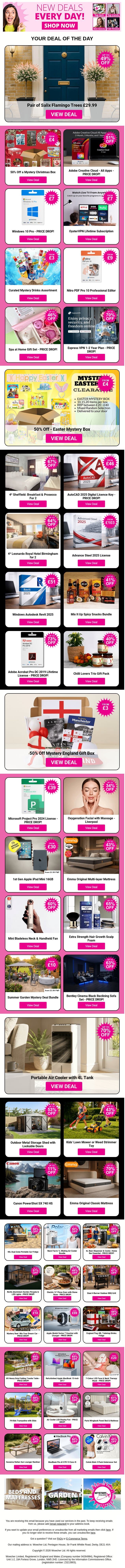 Pair of Salix Flamingo Trees £29.99 | 50% Off a Mystery Christmas Box | Adobe Creative Cloud - All Apps | Windows 10 Pro - PRICE DROP! | OysterVPN Lifetime Subscription email from Wowcher screenshot