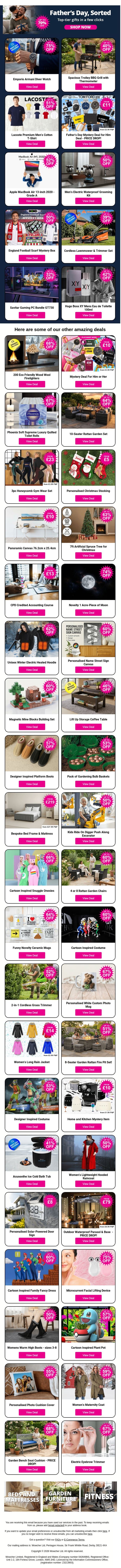 🎁Find The Perfect Gift For Your Dad Here! email from Wowcher screenshot