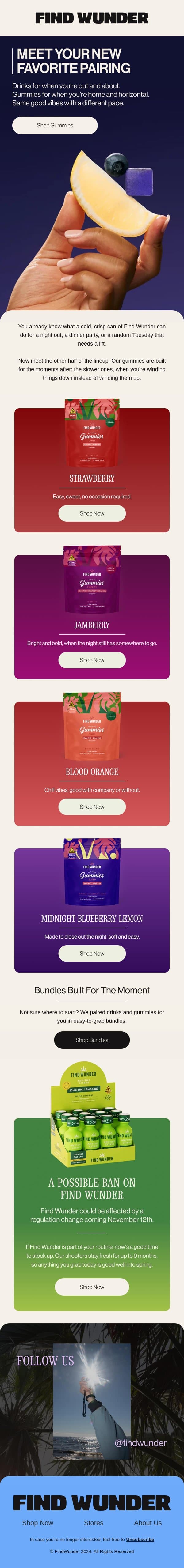You've met the drinks. Meet their other half email from Wunder screenshot