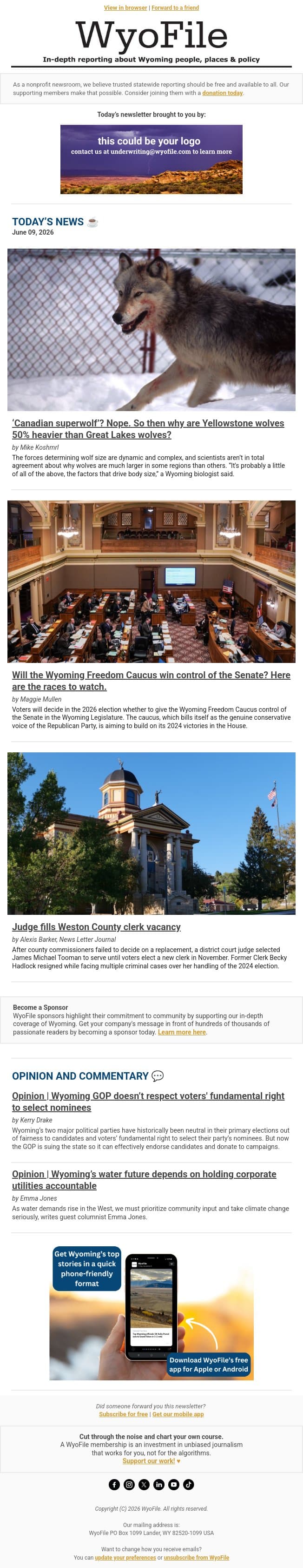 Science of wolf size | State Senate races | New Weston Co. clerk email from WyoFile screenshot