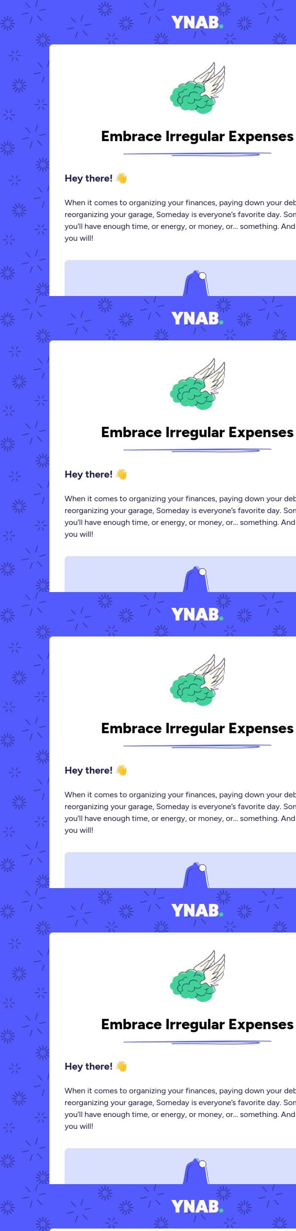 Expect the Unexpected email from YNAB screenshot