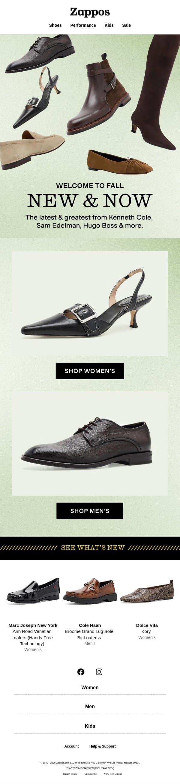 New arrivals that have fall figured out 🍂 email from Zappos screenshot
