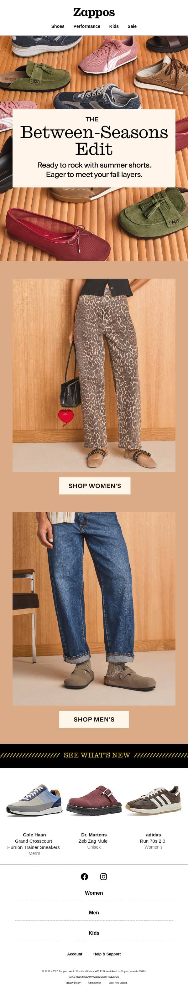 Pairs to wear now & later email from Zappos screenshot