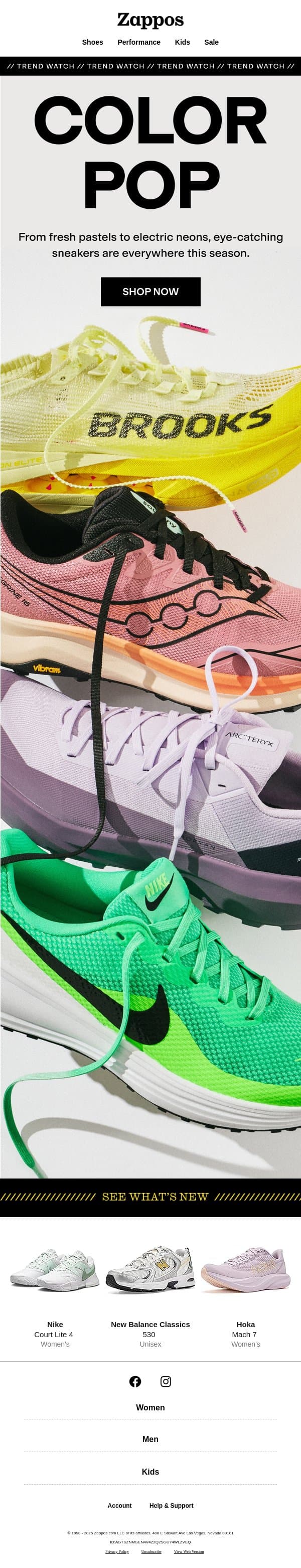 TREND WATCH: palettes that pack a punch 🎨 email from Zappos screenshot