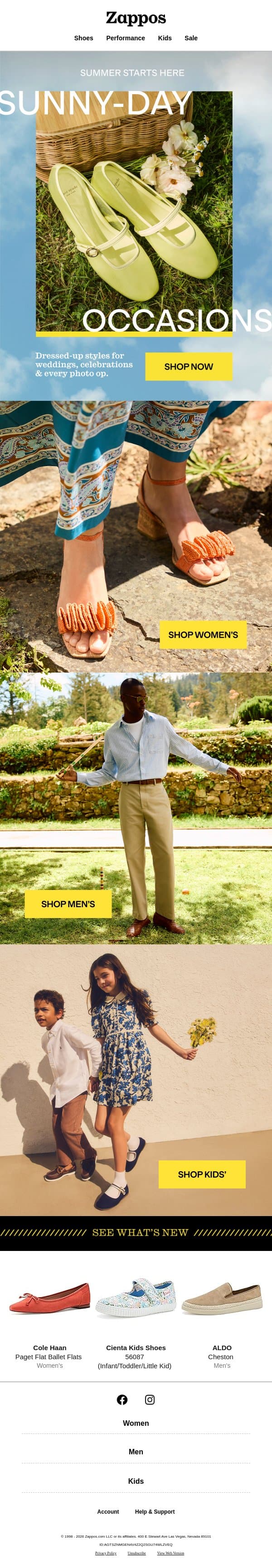 Summer gatherings call for the perfect pair email from Zappos screenshot