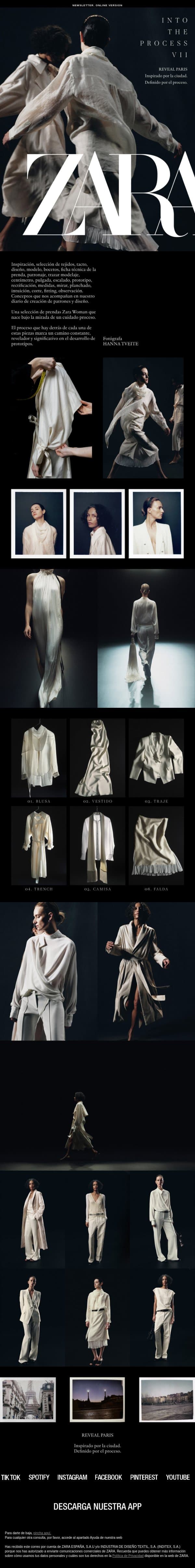 Into the Process VII email from Zara screenshot