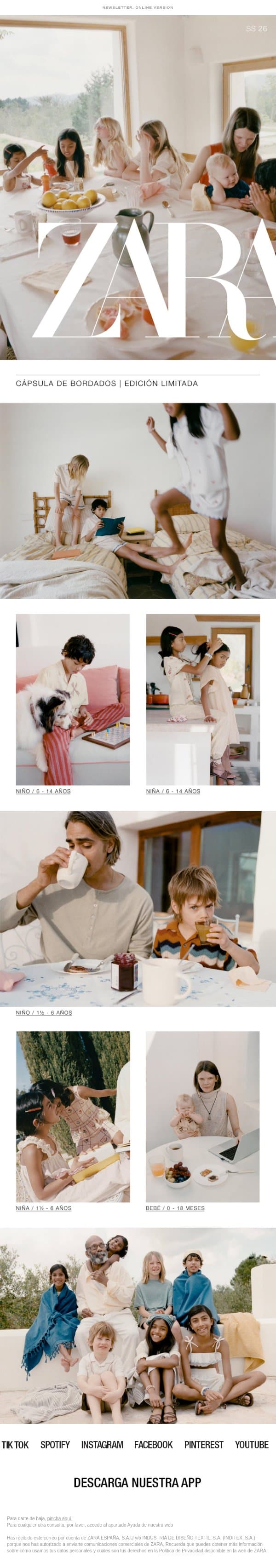 Kids | Cápsula de Bordados email from Zara screenshot