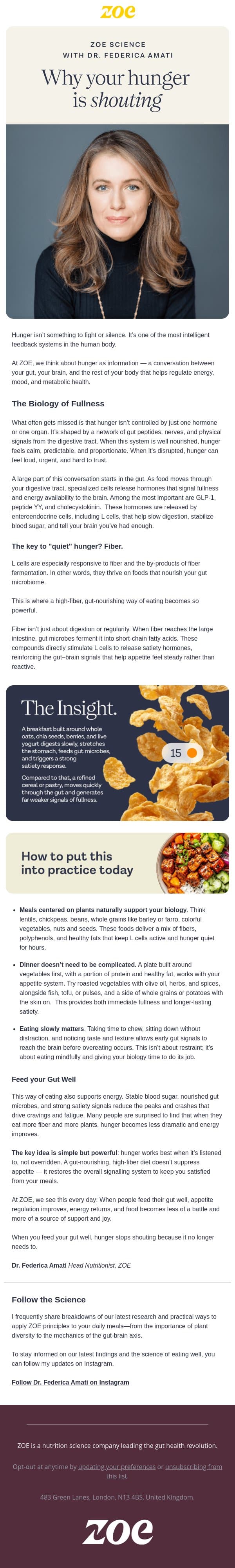 Why your hunger is shouting (and how to quieten it) email from ZOE screenshot
