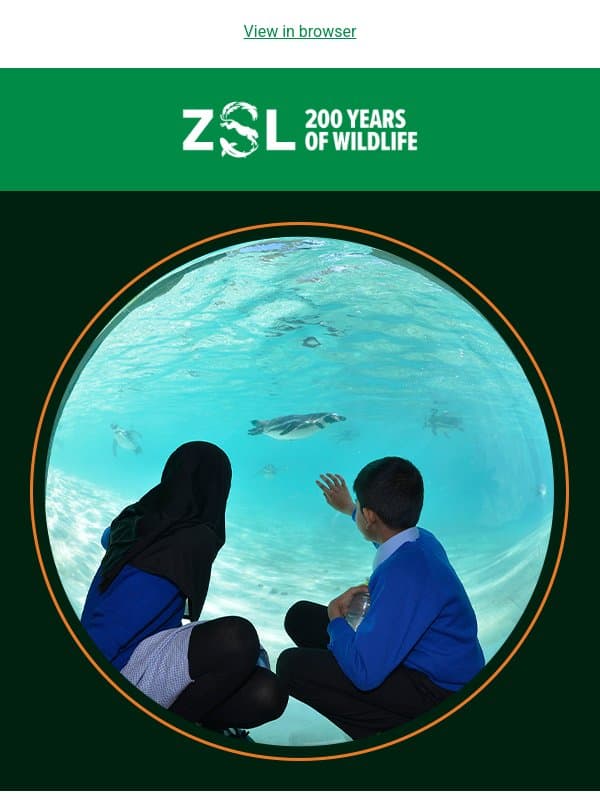 Join our next Wild Talk – Wildlife on Screen email from ZSL