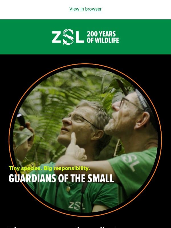 Watch our new short film: Guardians of the Small 🐌 email from ZSL