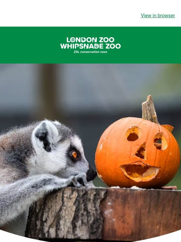Something extraordinary has happened at London Zoo… 🐸 email from ZSL