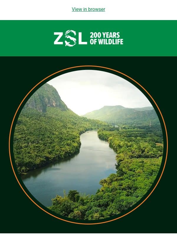 Join our next talk: Aligning the nature and climate agendas 🏔️ email from ZSL