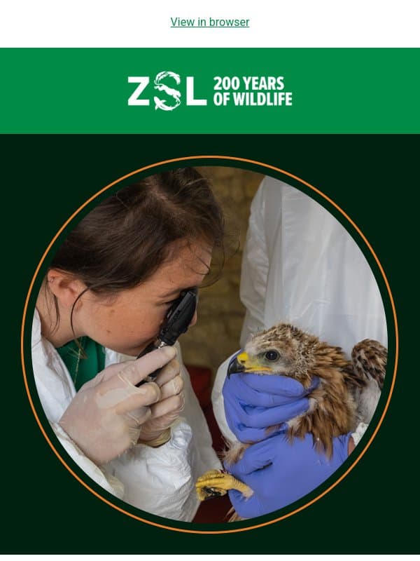 Join our next Wild Talk – Wild Health: People, Nature & One Health email from ZSL