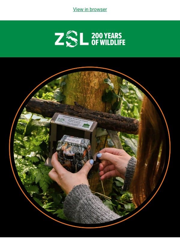 das, don't miss our next Wild Talk 🎥 email from ZSL