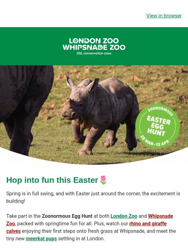 Look who’s finally awake 🐻 email from ZSL