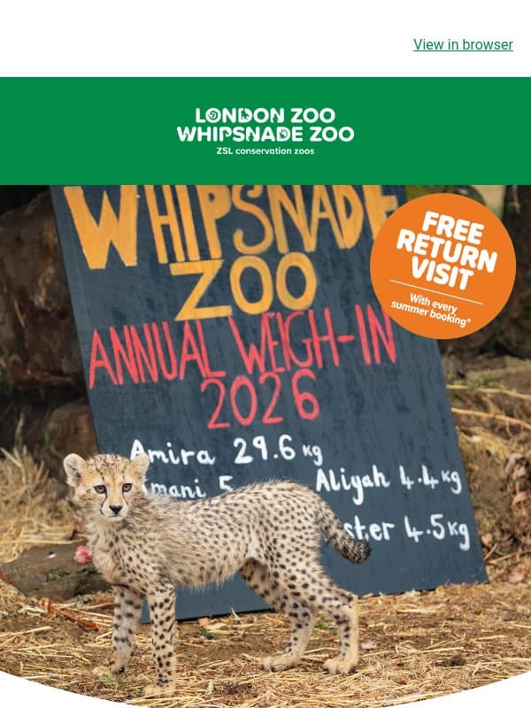 Our annual animal weigh-in results are in 🐆 email from ZSL