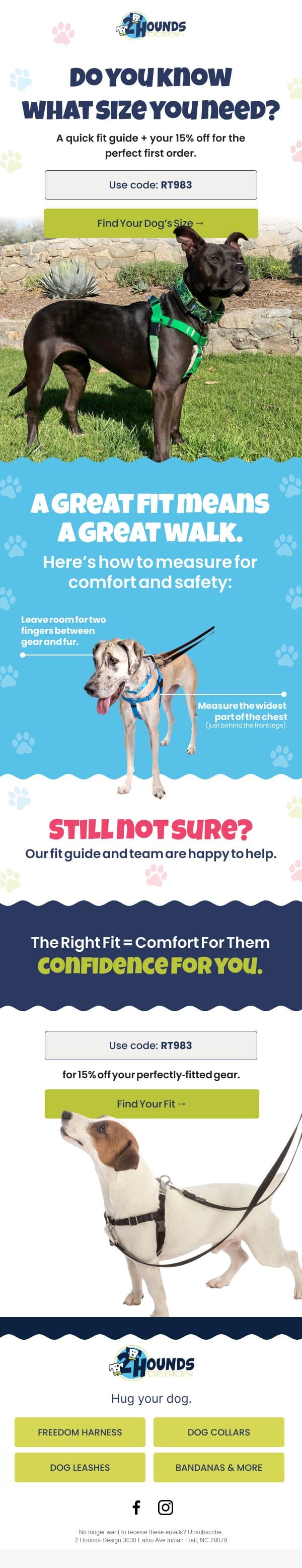 Need Help With Sizing?! email from 2 Hounds Design screenshot