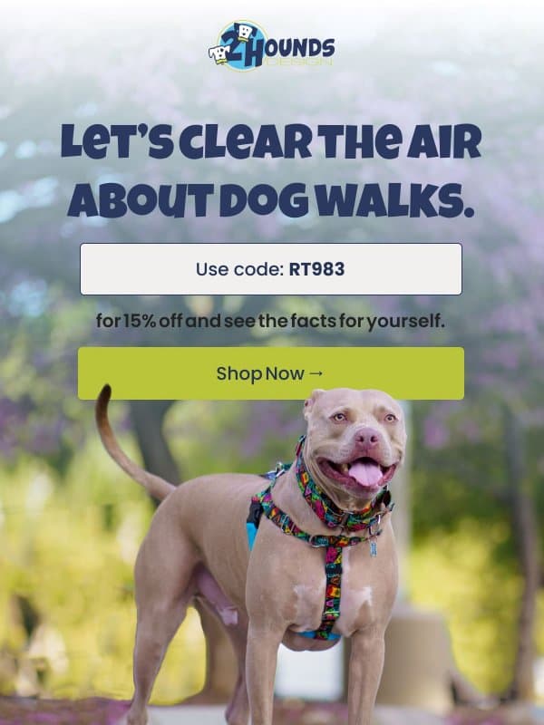 Let’s Clear The Air About Dog Walks. email from 2 Hounds Design