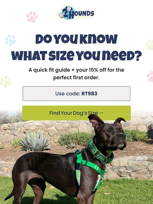 Need Help With Sizing?! email from 2 Hounds Design